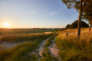 Germany, Mecklenburg-West Pomerania, landscape, dirt road, evening Germany, Mecklenburg-West Pomerania, landscape, dirt road, evening